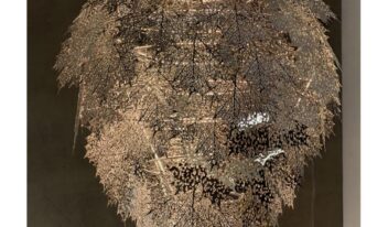 Seasonal Sale – Lighting – 23