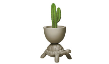 Turtle Planter 02 (Website)
