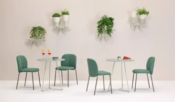 2955-scab-mimosa-parete-01