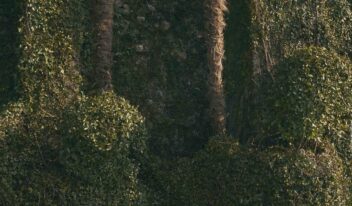 Unopiù_Salò_ph Mattia Aquila (18)