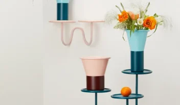 scab-mimosa-vaso-1 scab-mimosa-vaso-1