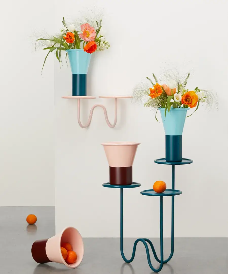 scab-mimosa-vaso-1 scab-mimosa-vaso-1