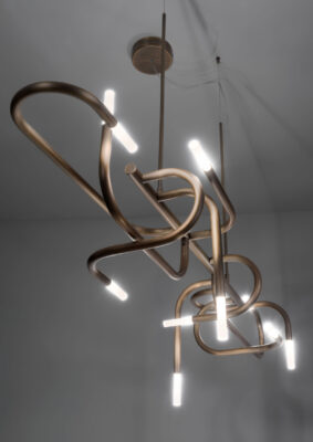 mangrove IDL e1770937777264